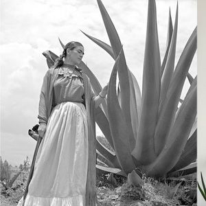 Meet your Posher, Paul